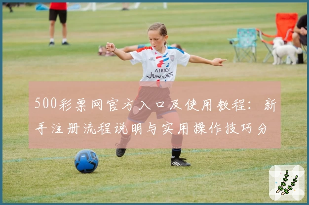 500彩票网官方入口及使用教程：新手注册流程说明与实用操作技巧分享
